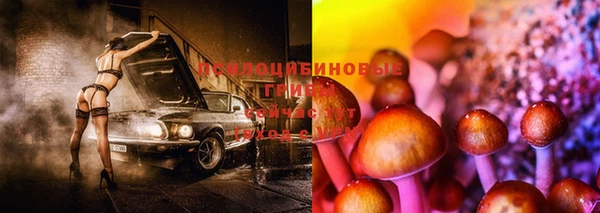 трава Абдулино