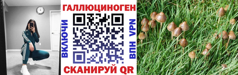 Псилоцибиновые грибы Cubensis  Сафоново 