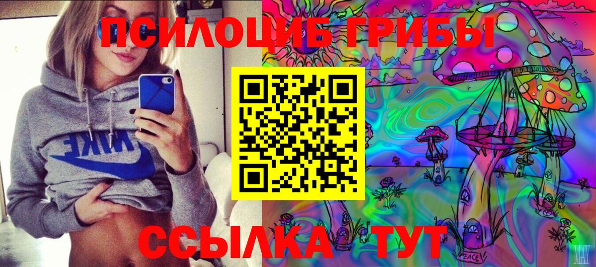 Псилоцибиновые грибы прущие грибы Сафоново